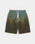 Mountain Boy's Swim Trunk